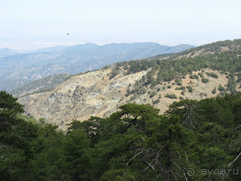 фото Club Pyla Beach Resort