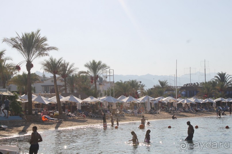 такого отдыха еще у меня не было.....