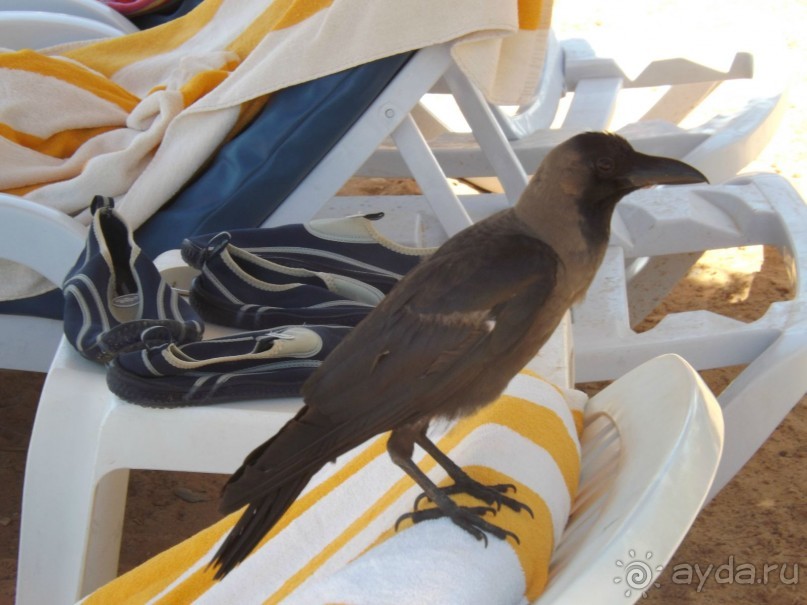 СУПЕР ОТЕЛЬЧИК С ДРУЗЬЯМИ ТОЛЬКО СЮДА)))))))))))