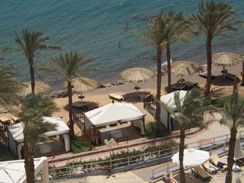 СУПЕР ОТЕЛЬЧИК С ДРУЗЬЯМИ ТОЛЬКО СЮДА)))))))))))