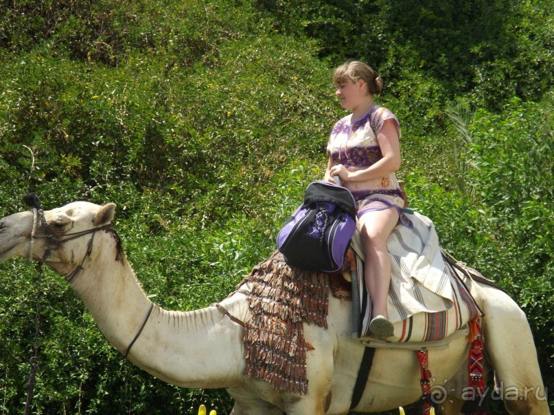 СУПЕР ОТЕЛЬЧИК С ДРУЗЬЯМИ ТОЛЬКО СЮДА)))))))))))