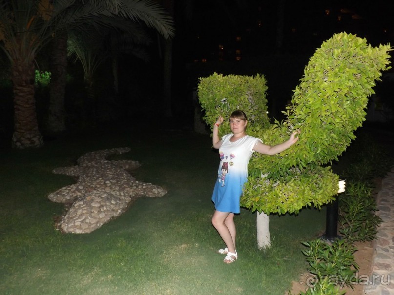 СУПЕР ОТЕЛЬЧИК С ДРУЗЬЯМИ ТОЛЬКО СЮДА)))))))))))