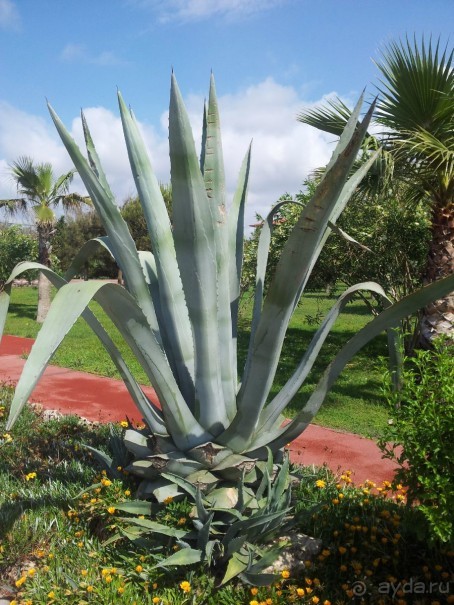 Турецкая Венеция