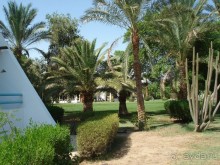 фото Shams Safaga