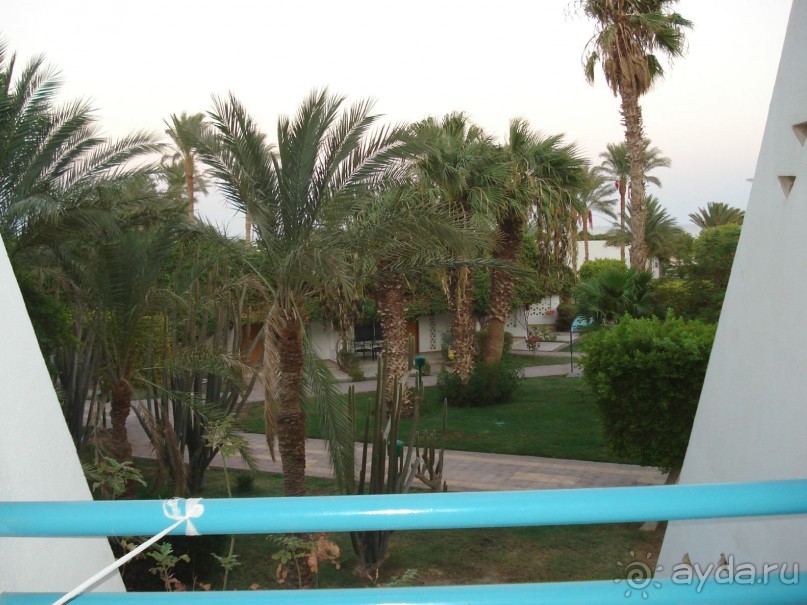 11 днй в раю,,,,,,