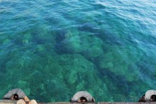 Место потрясающее, природа уникальна. Сервис вполне на уровне -а что еще нужно для отдыха?