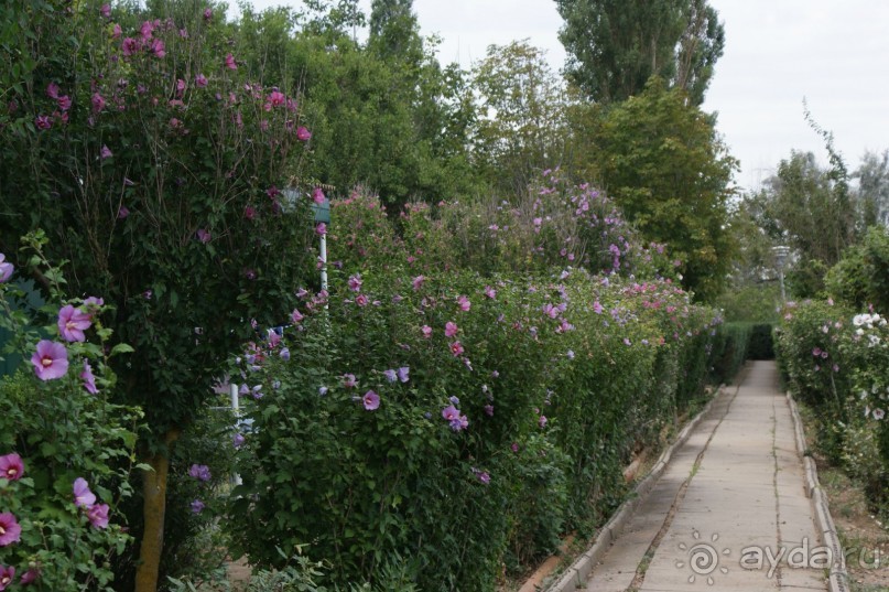 фото Темрюкского района