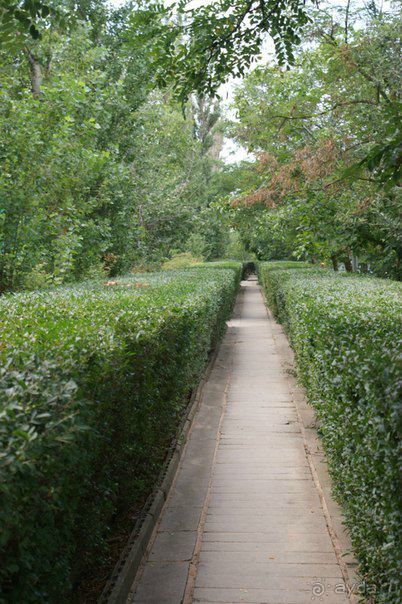 Спасибо за отзывы!