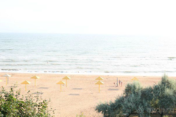 Спасибо за отзывы!