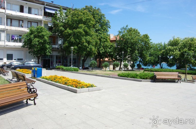 фото Orient Palace