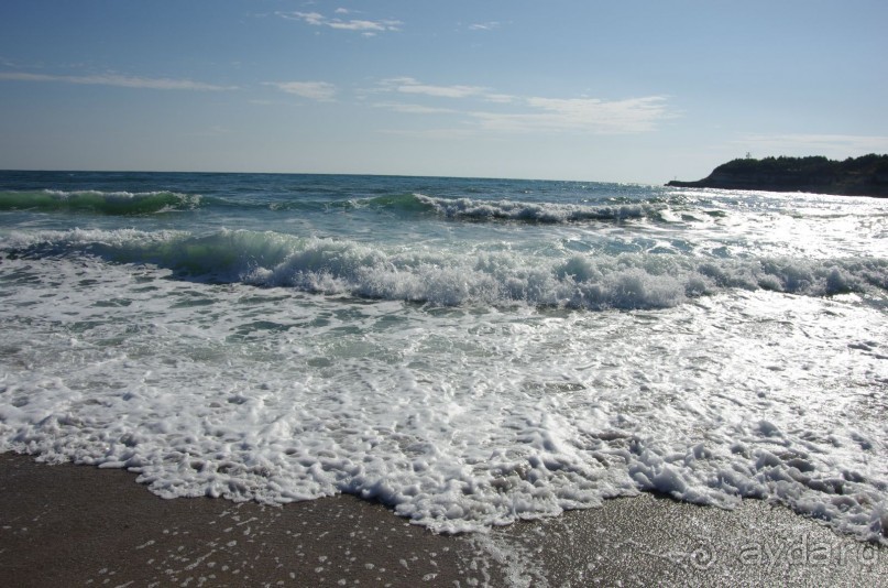 фото Orient Palace