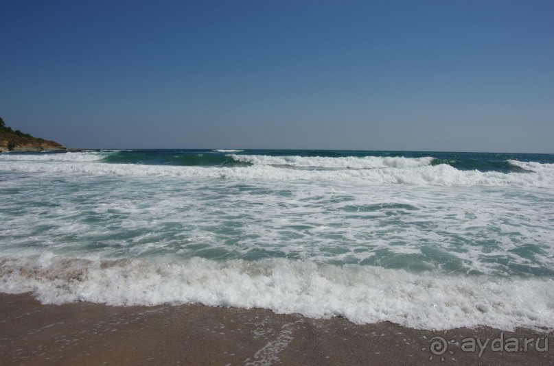 фото Orient Palace