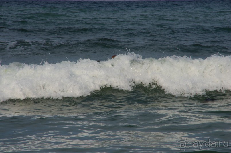 фото Orient Palace