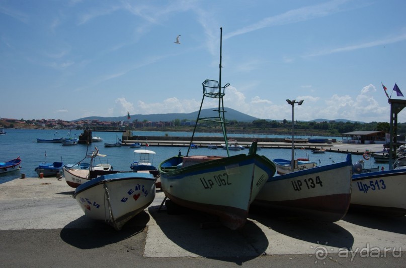 фото Orient Palace