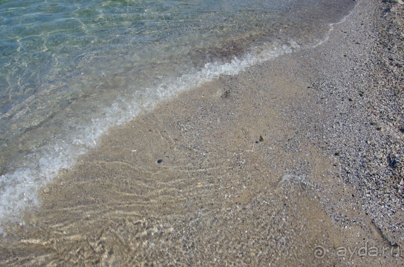 фото Orient Palace