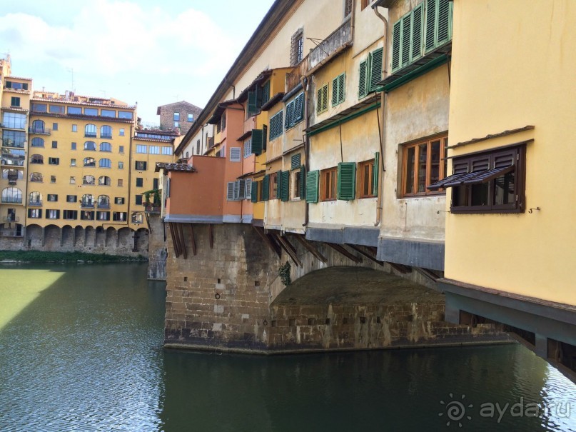 «Флоренция, ты ирис нежный…»