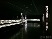 Каталония – Арагон - Валенсия (наблюдения)