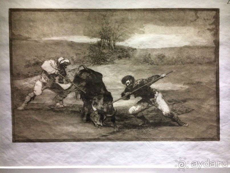 Каталония – Арагон - Валенсия (наблюдения)