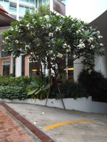 Прекрасный отель