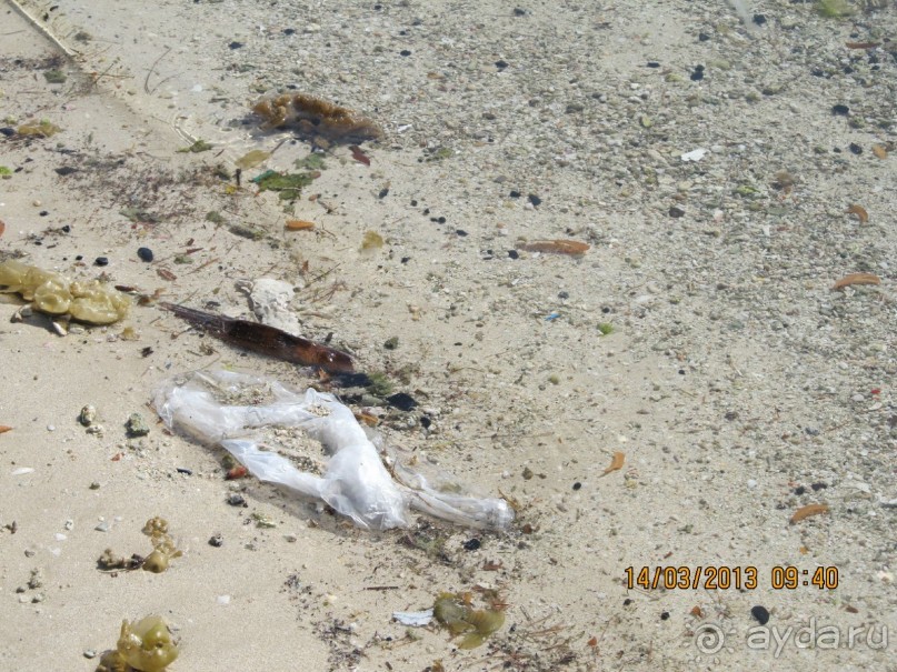 фото Flamingo Beach Resort