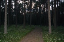 просто повезло с погодой