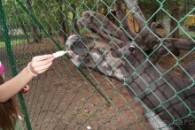 просто повезло с погодой