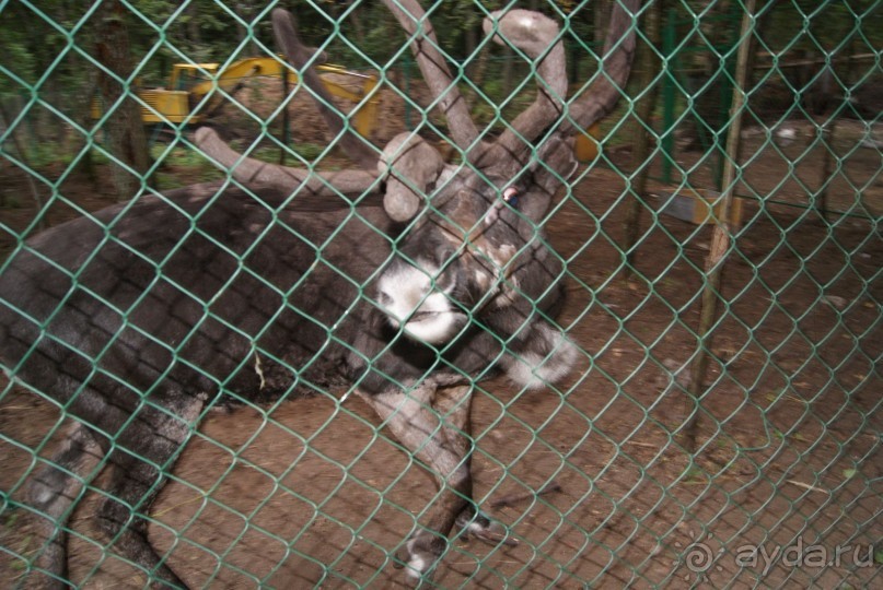 просто повезло с погодой