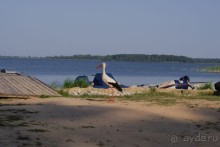просто повезло с погодой