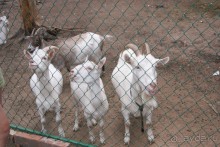 просто повезло с погодой