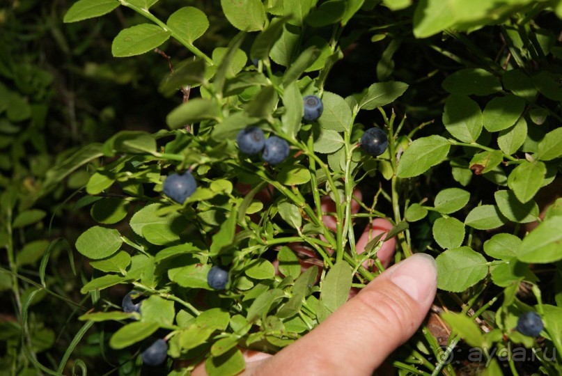 просто повезло с погодой