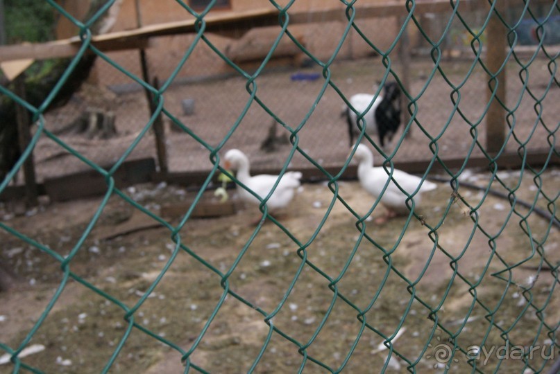 просто повезло с погодой