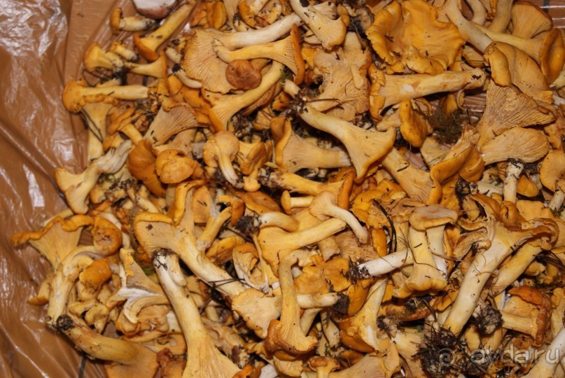 просто повезло с погодой