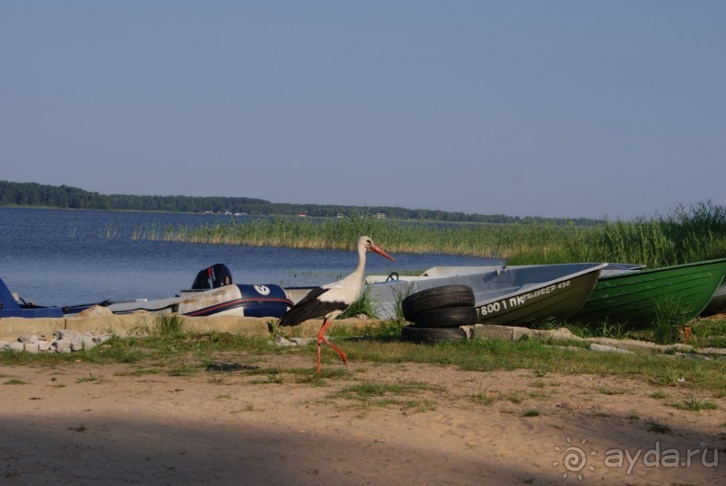 просто повезло с погодой
