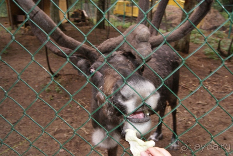 просто повезло с погодой