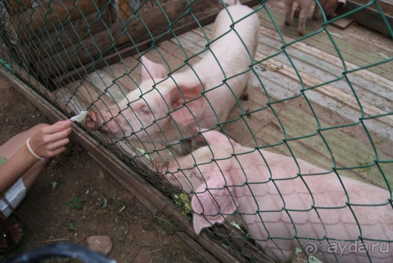 просто повезло с погодой