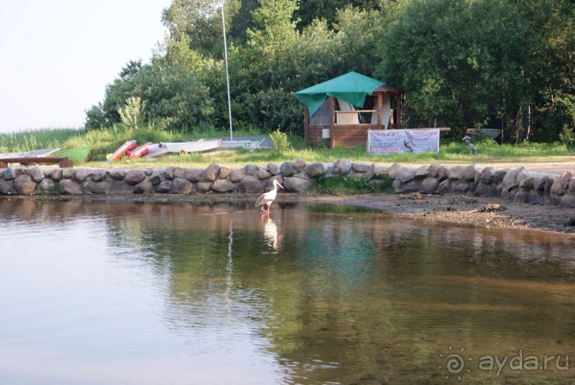 просто повезло с погодой