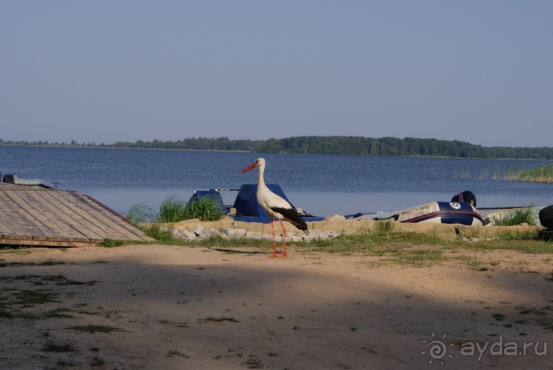просто повезло с погодой