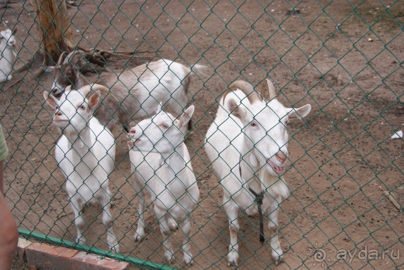 просто повезло с погодой