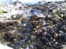 АБХАЗИЯ-КРАСНАЯ ПОЛЯНА-СОЧИ. ТРУДНАЯ ДОРОГА.