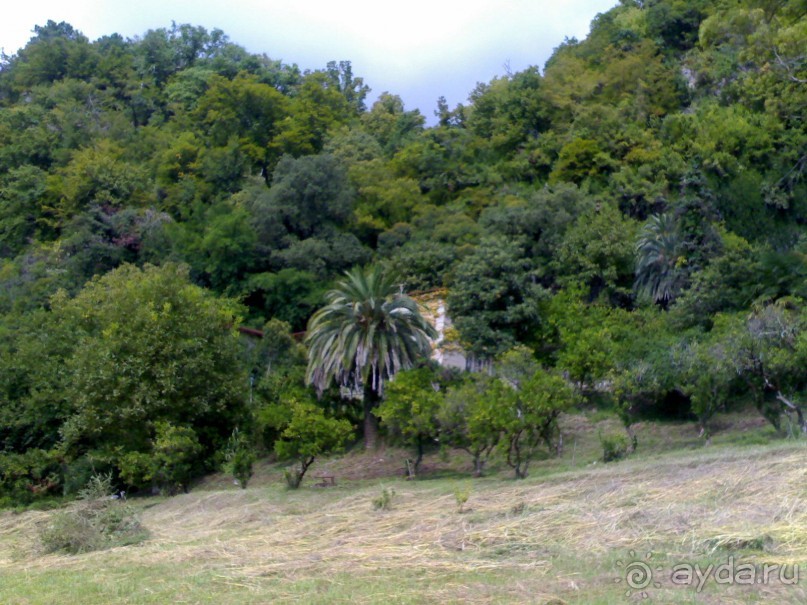 АБХАЗИЯ-КРАСНАЯ ПОЛЯНА-СОЧИ. ТРУДНАЯ ДОРОГА.