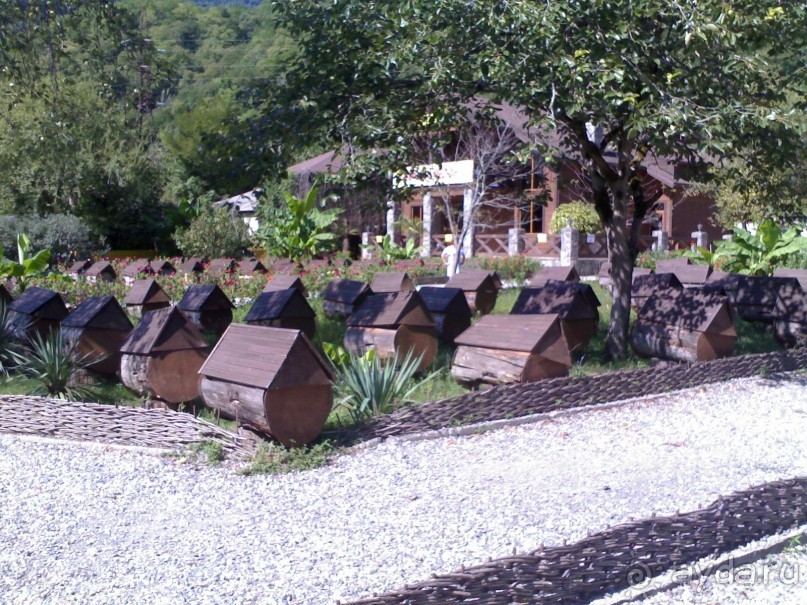 АБХАЗИЯ-КРАСНАЯ ПОЛЯНА-СОЧИ. ТРУДНАЯ ДОРОГА.