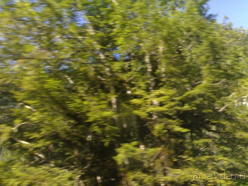 АБХАЗИЯ-КРАСНАЯ ПОЛЯНА-СОЧИ. ТРУДНАЯ ДОРОГА.