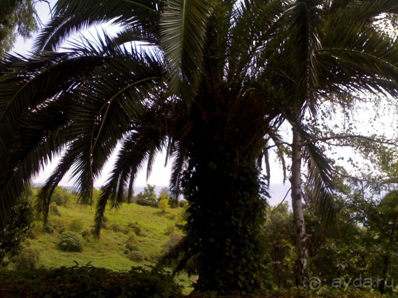 АБХАЗИЯ-КРАСНАЯ ПОЛЯНА-СОЧИ. ТРУДНАЯ ДОРОГА.