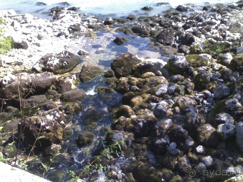 АБХАЗИЯ-КРАСНАЯ ПОЛЯНА-СОЧИ. ТРУДНАЯ ДОРОГА.