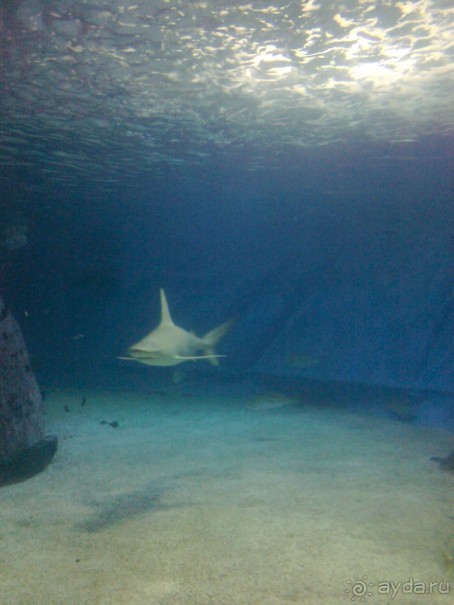 фото Comfort Hotel Eilat