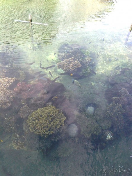 фото Comfort Hotel Eilat