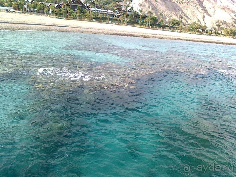 фото Comfort Hotel Eilat