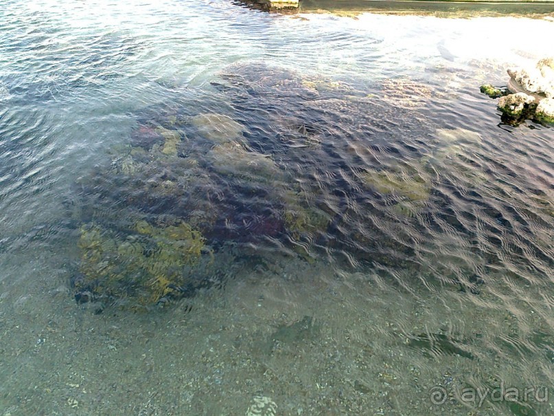 фото Comfort Hotel Eilat