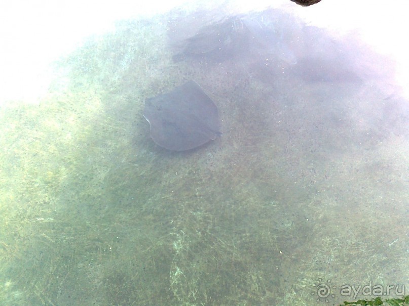 фото Comfort Hotel Eilat