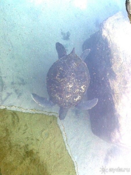 фото Comfort Hotel Eilat